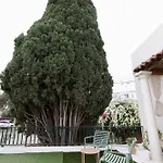 Private Garden T1 Daire Saint Julian's