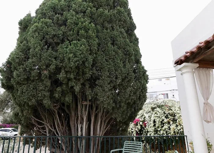 Private Garden T1 Apartamento St. Julian's